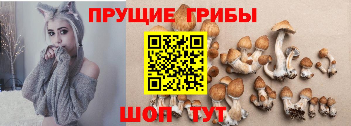 Галлюциногенные грибы мухоморы Тобольск